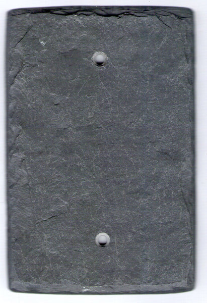 Protective Blank Wall Plate